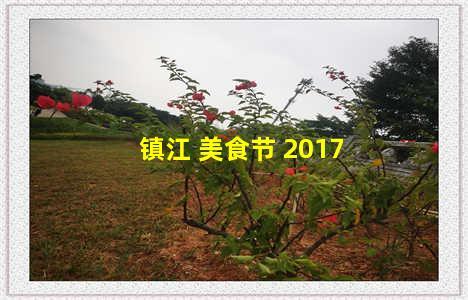 镇江 美食节 2017